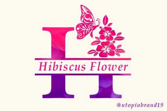 Hibiscus Flower Monogram Font